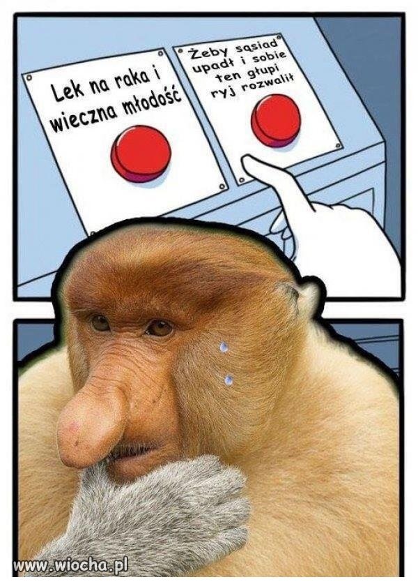I tak wiemy, co wybierze