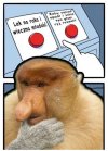 I tak wiemy, co wybierze