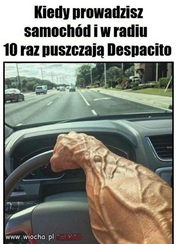 Zaraz zwariuję