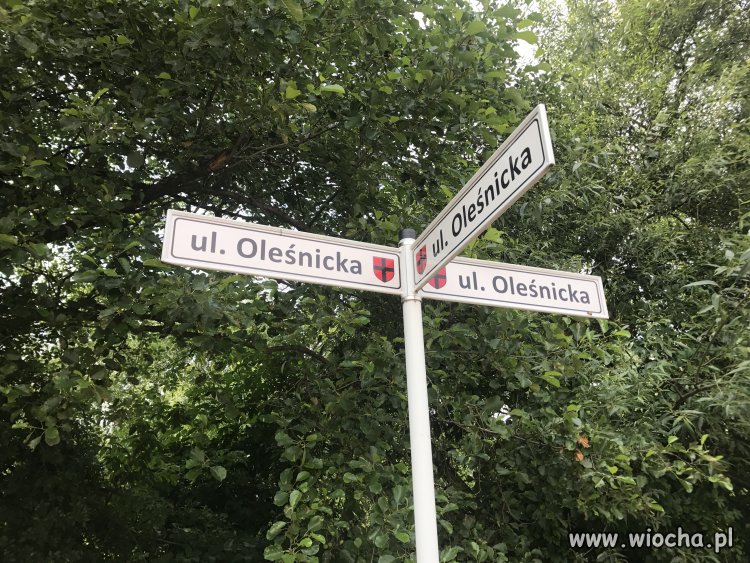 Gdy w twoim mieście jest tylko jedna ulica