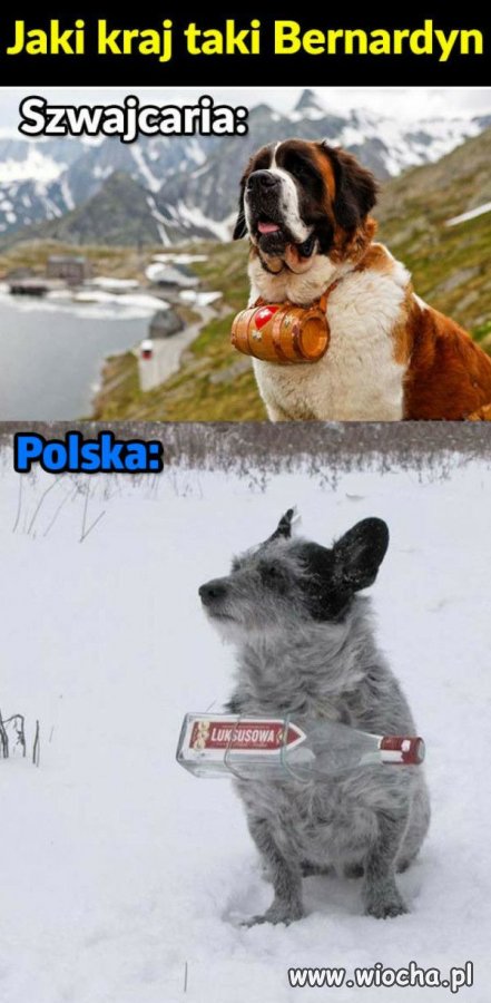Jaki kraj 