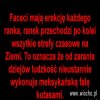 Fala