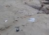Można wychlać na plaży