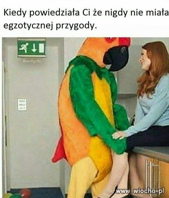 Przygoda