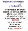 Historia się powtarza, albo poeta jasnowidz