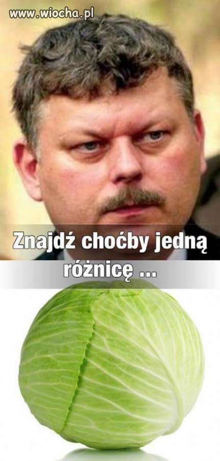Znajdz różnicę