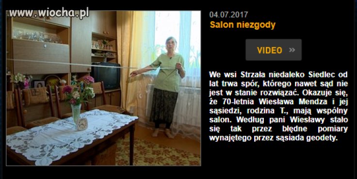 Bareja wiecznie żywy