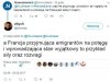 Zaorał