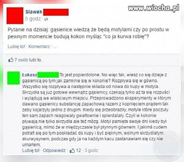 Gąsienice mają przesrane