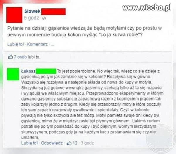 Gąsienice mają przesrane