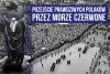 Mojżesz będzie mógł prowadzić