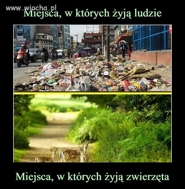 Takie oto małe porównanie