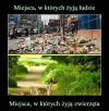 Takie oto małe porównanie