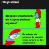 Wegetarianki 