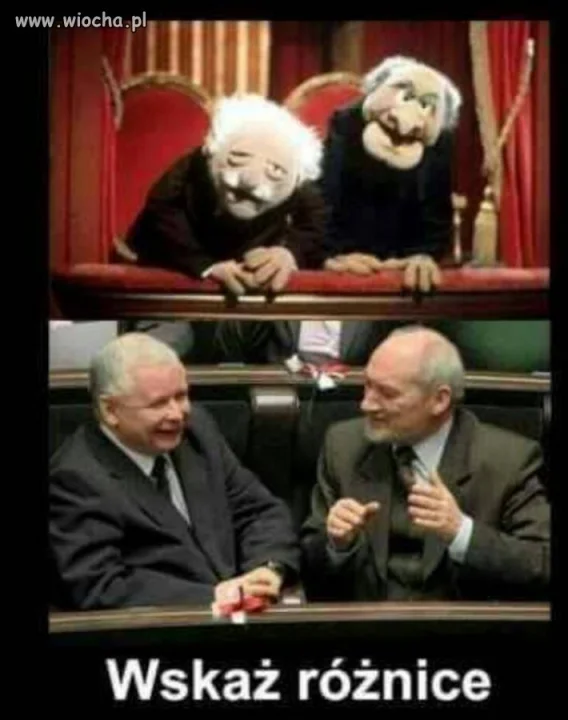 Wskaż róznicę.