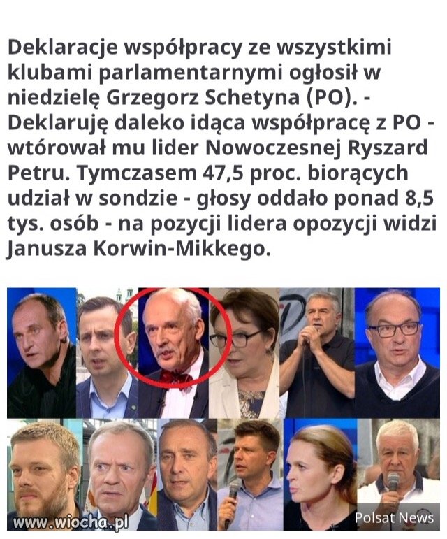 Wszystkie trolle na wiosce...