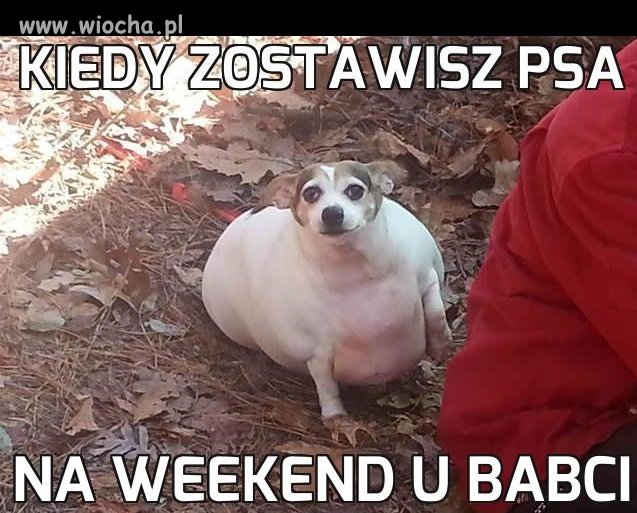 U babci