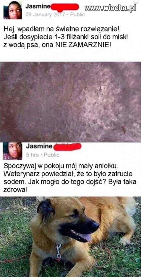 Kiedy to za ludzką głupotę