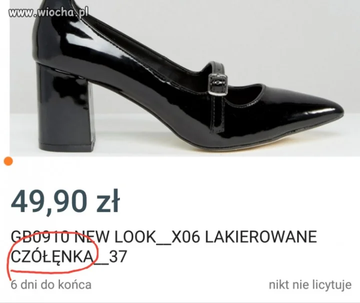 Czółęka 