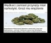 Narkotyki nie były jego...