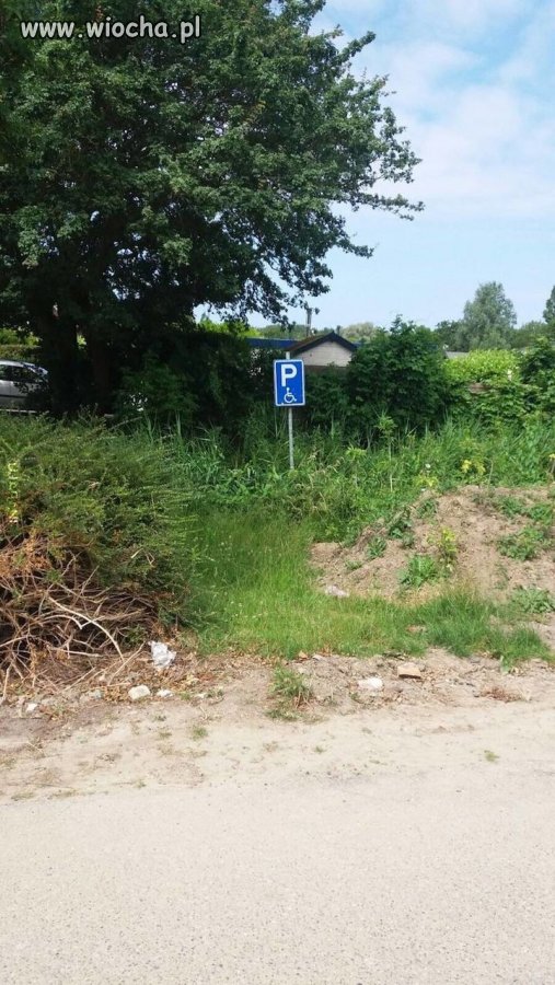 Niepełnosprawni dla niepełnosprawnych