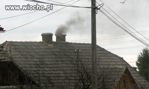  100 firm odpowiada za 71 proc