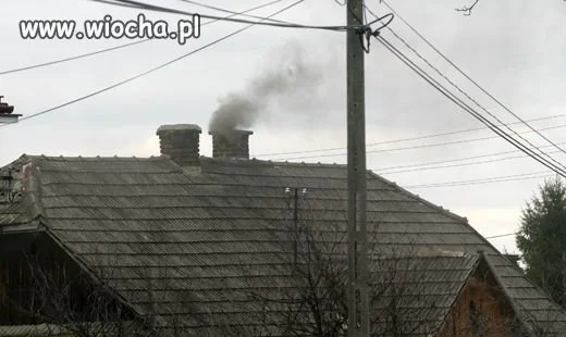  100 firm odpowiada za 71 proc