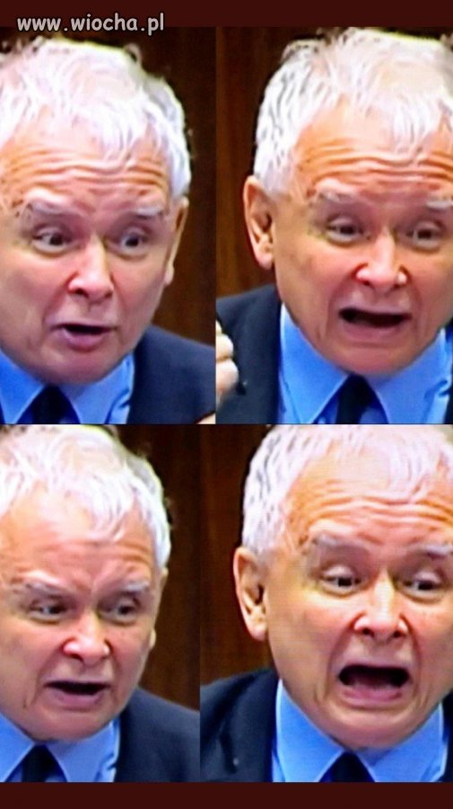 Mąż stanu
