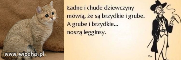 Nie kumam