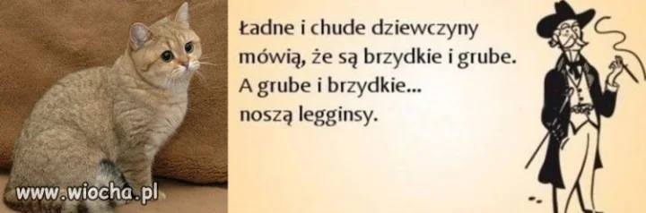 Nie kumam