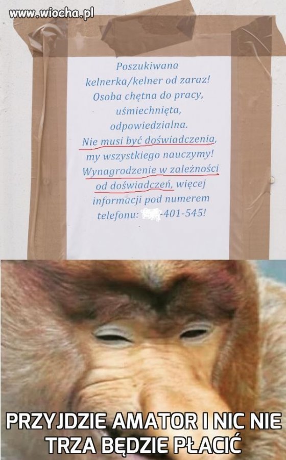 Przyjdzie amator i nic nie trza będzie płacić