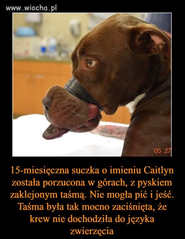 Jeśli to zrobił facet...