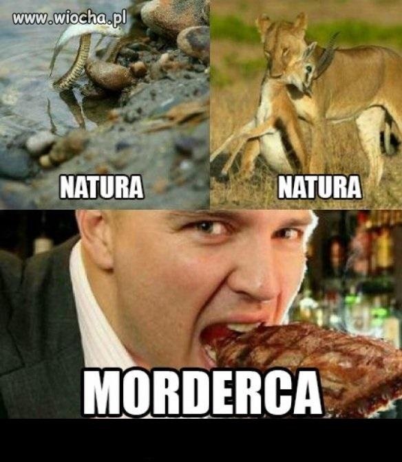 Myślenie weganina