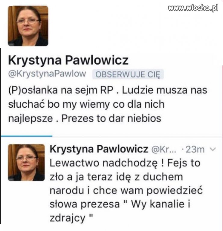 Profesor Krystyna Pawłowicz 