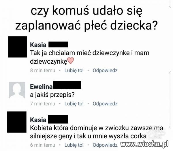 Domina 