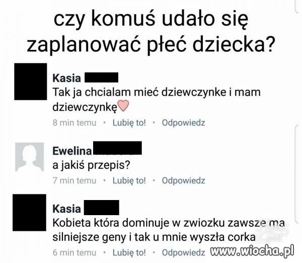 Domina 