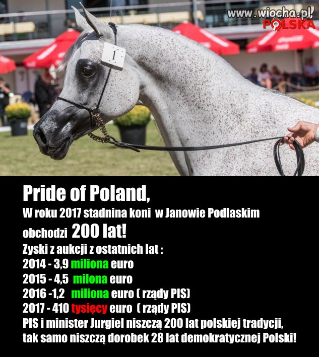 Zyski z Janowa Podl.???