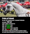 Zyski z Janowa Podl.???