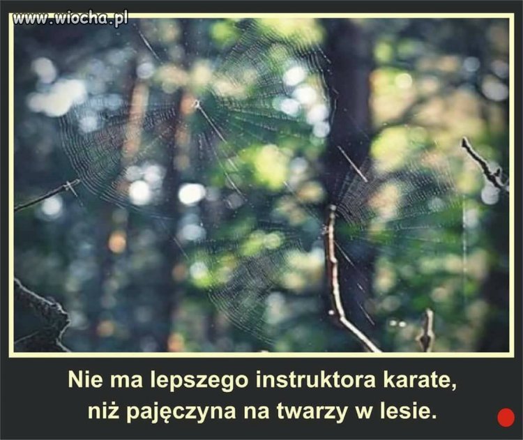 Instruktor