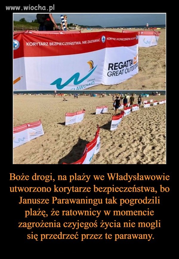 Wszystko w temacie