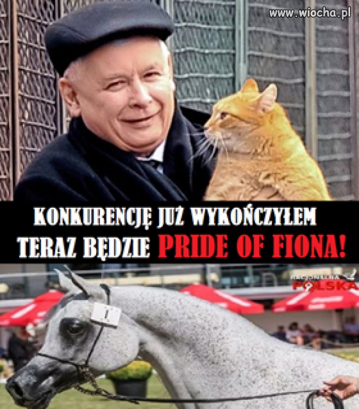 Sprytnie...