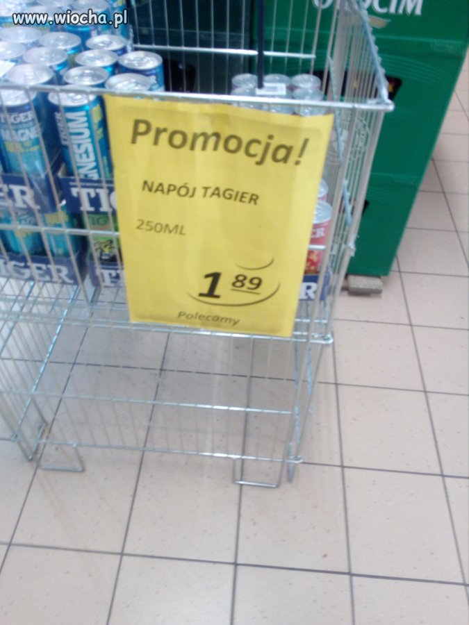 Tagier