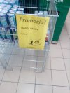 Tagier