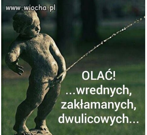 Polsko! wstań w końcu