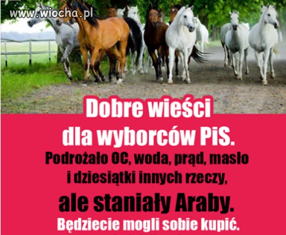 I to wszystko