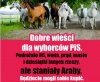 I to wszystko