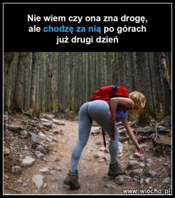 Dobry przewodnik ...