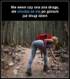 Dobry przewodnik ...