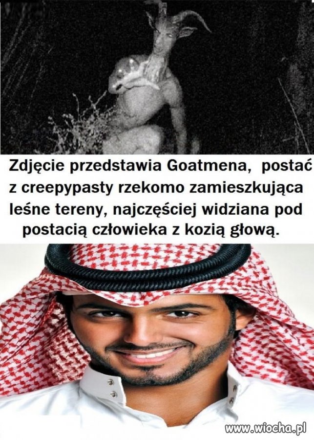 Znaleźliśmy bohatera, który poskromi tego stwora