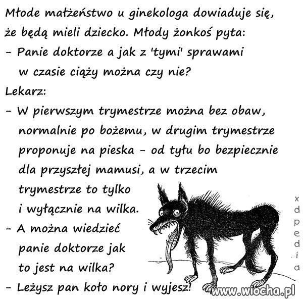 Ha ha dobre